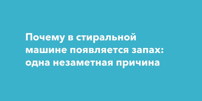 Почему в стиральной машине появляется запах: одна незаметная причина