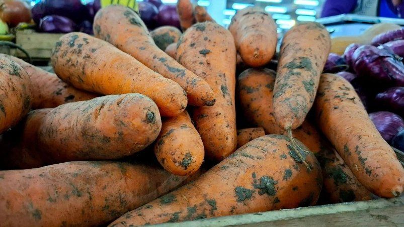 Морковь будет большой и сладкой: советы от садоводов на апрель