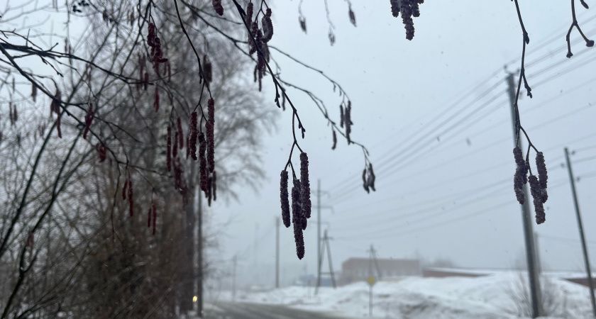 "Температура рухнет больше чем на 20 градусов": Вильфанд дал свежий прогноз