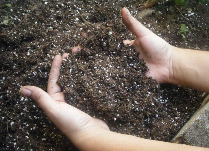 Как правильно хранить удобрения зимой: секреты для садоводов