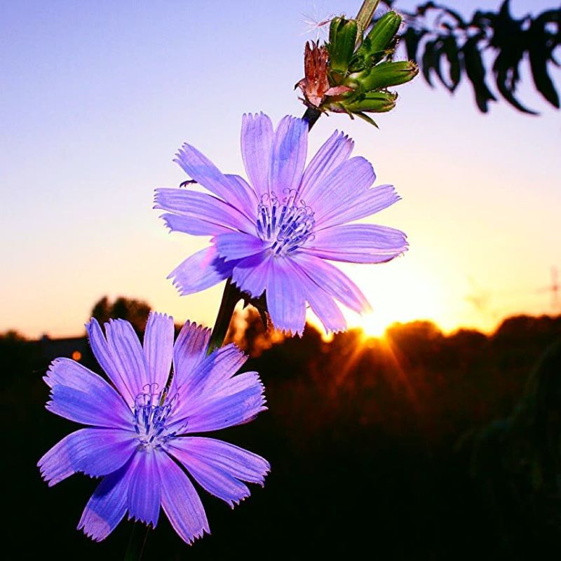 Зачем школьные чаты, когда мама всегда в курсе?