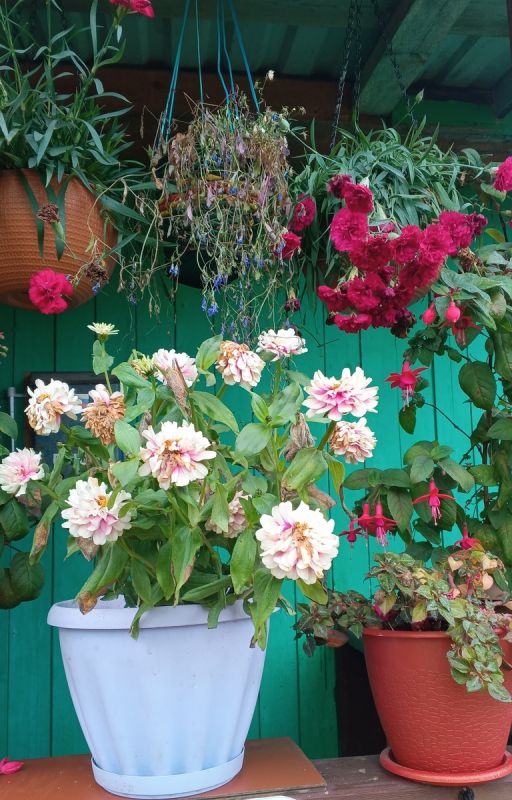 Как научиться жить для себя, преодолевая выгорание и стереотипы