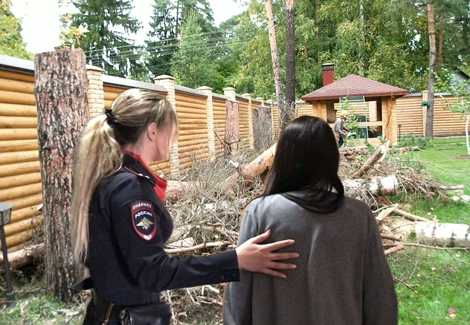 Как незаконная вырубка деревьев привела к уголовному делу: неожиданные последствия на дачном участке