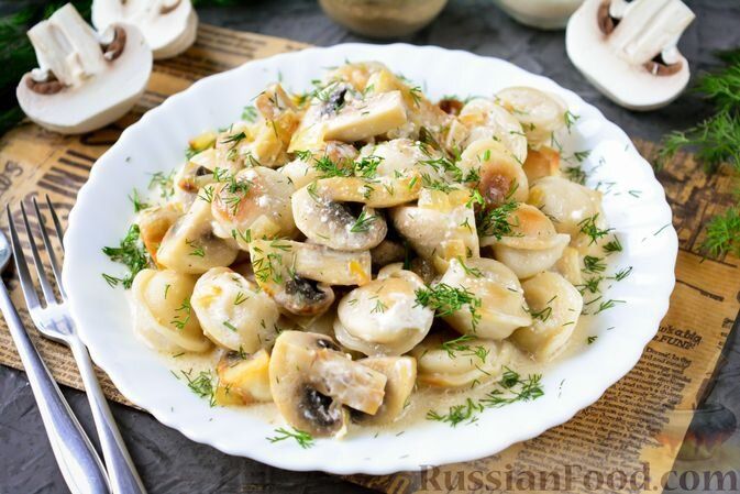 ������� �������� �������������: ������ ����� �� �������� �����