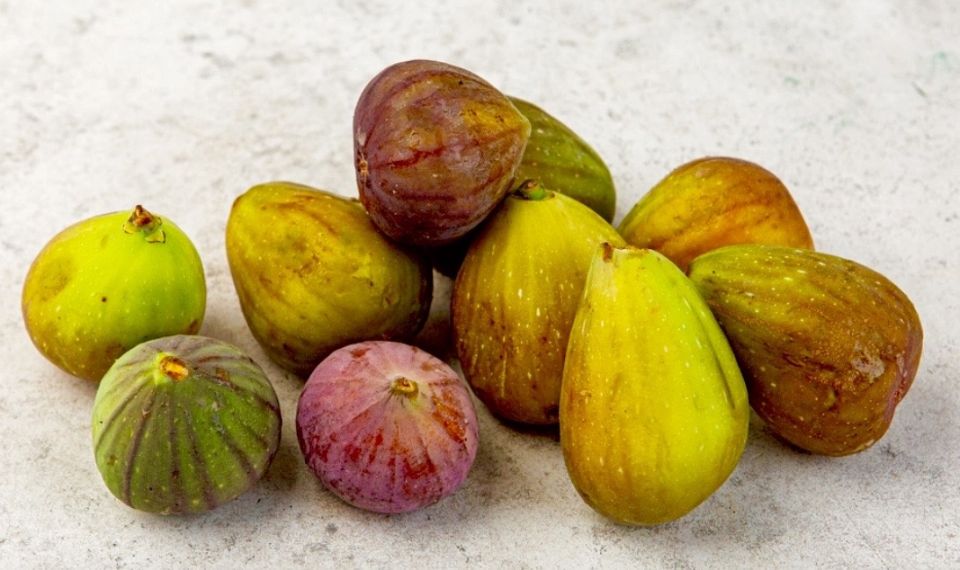 �����: �������� ����� ���������������� ���������