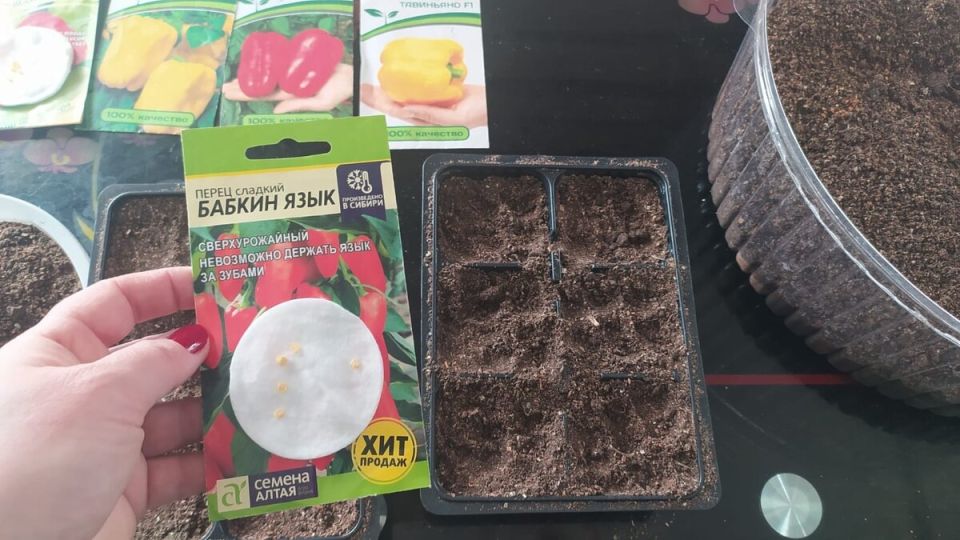 ��� ������������� � ��������� ��������� ������