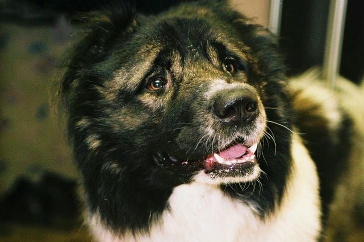 ������ � ���� ���������� ���������� ����� �������: ����������� ������ � ������ � �������