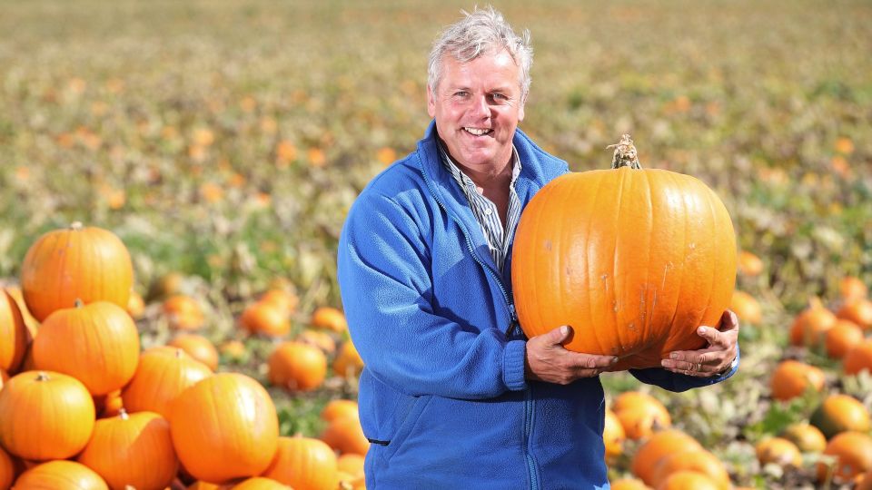 ������ �����, ������ 30-������������� �����: � ����� �������� ��������� �������