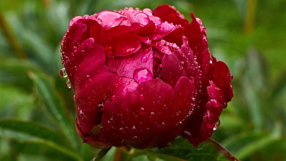 ���� ����� ������ ����� ��������� �������: ���������� �������� ����� ������