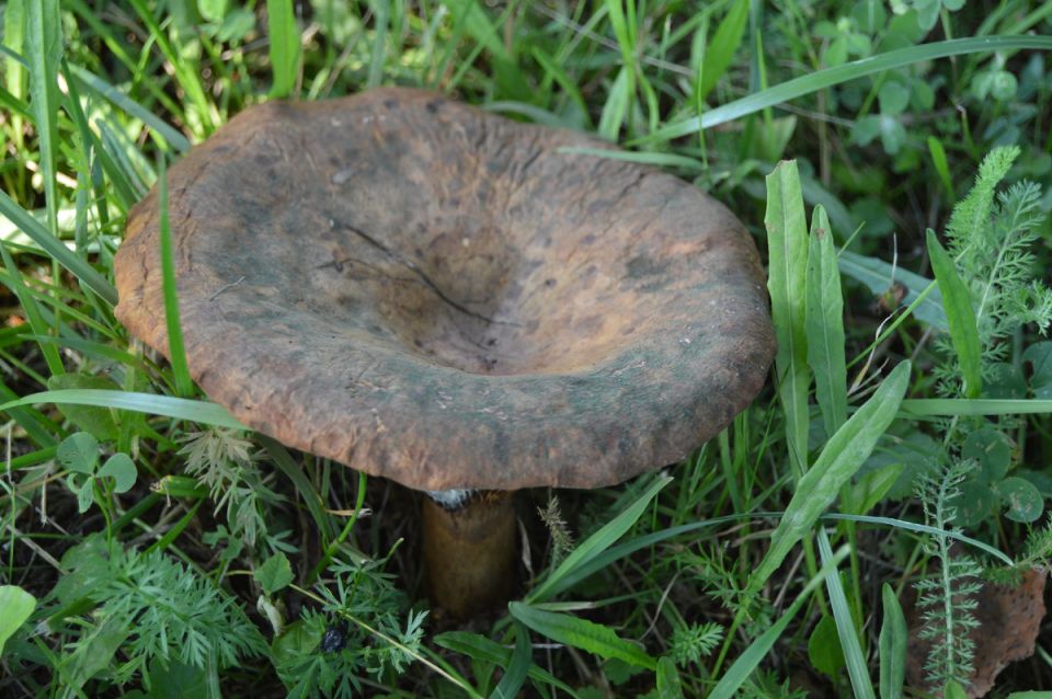 �������� �� ����: ��� ��������� ����� �� ����