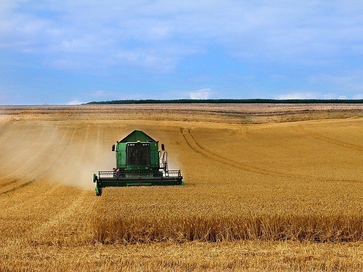 ������ ������� � ������: ����� ��������� � ����������� ��������