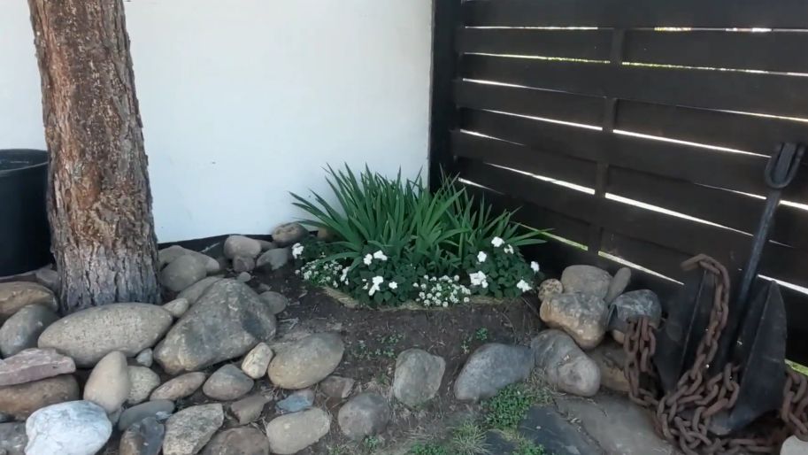 ��� ����� � ���� ����� ��������� ���������: ������� ������ � ������