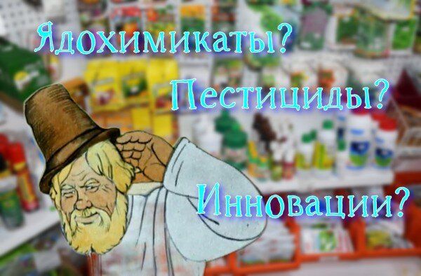 ��� ������� ����������� �������� ��� ������ ��������: ������ � ��������