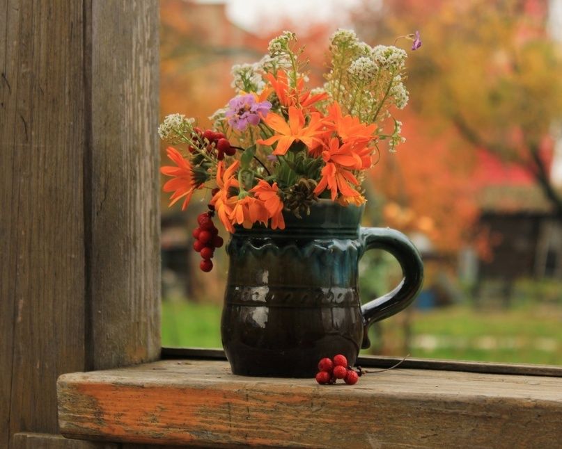 ������ ������� ����� � ����� ���������