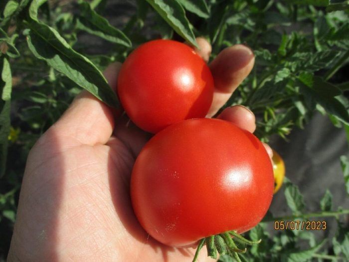 ����� ������������� ������: ���� ������ ����� ��� � ������ ����