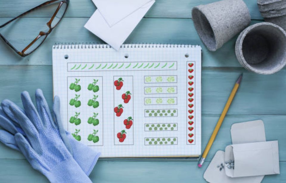 ��� ������������ ������ � ������: �������� ������ ��� ���������