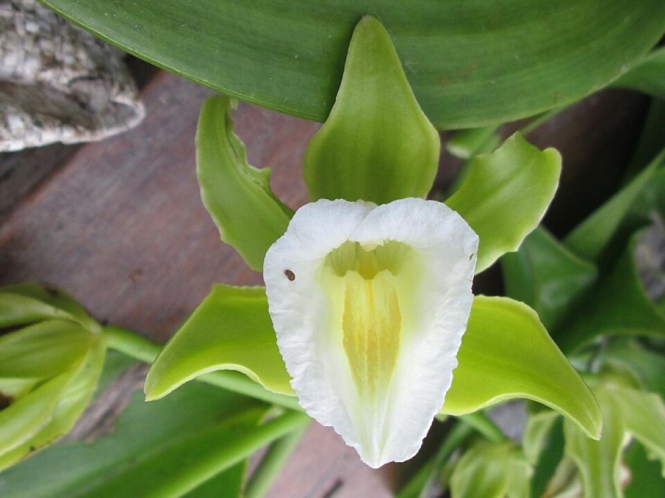 ��� ��������� ������ � ��������� ��������: ��������� ����������� �� �������� � �����