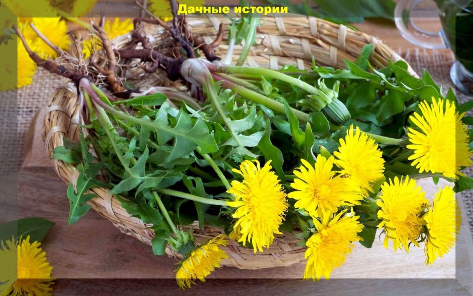 ���������: ����������� �������� �� ���� � ����� ��������� �������������