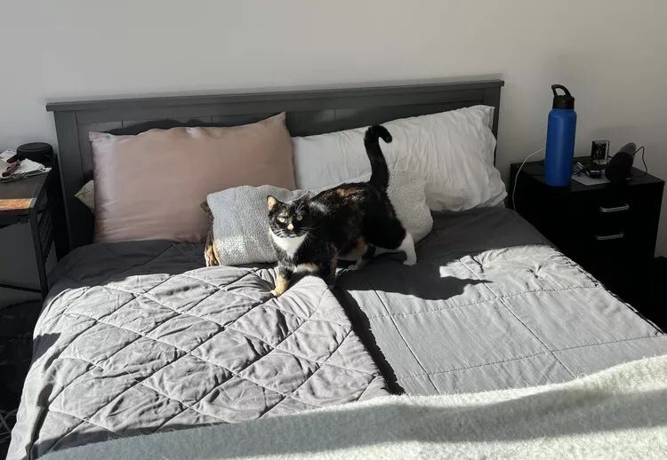 ������������� ����� ���: �������� ������������� ��� ����?