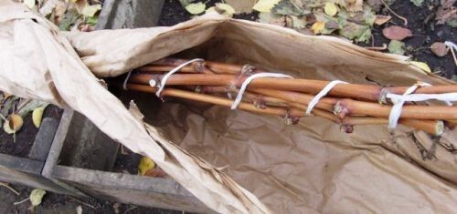 ��� ���� ������ ����� ���������: �������� ������� ��� ����� � ������