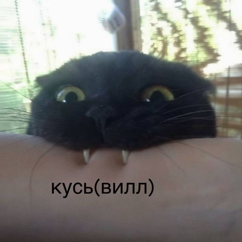 �������� ��������� ����� ����� ������� ��� �������� ��������