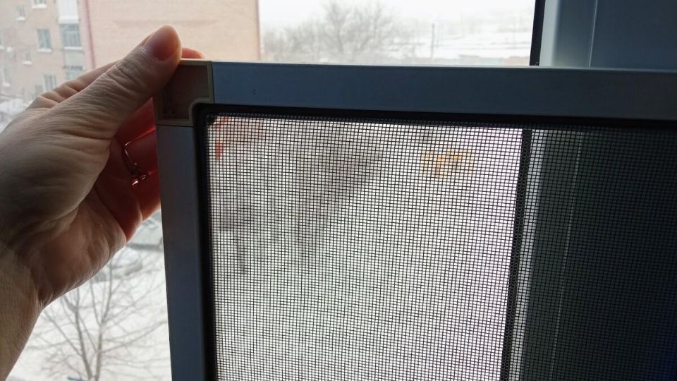 ����� ��������� ����� �� ����: ������� ������ ��� ���� �������� ������