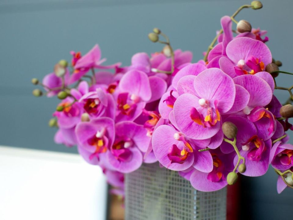 ��� �������� ������� ������� �������� � ������ ������