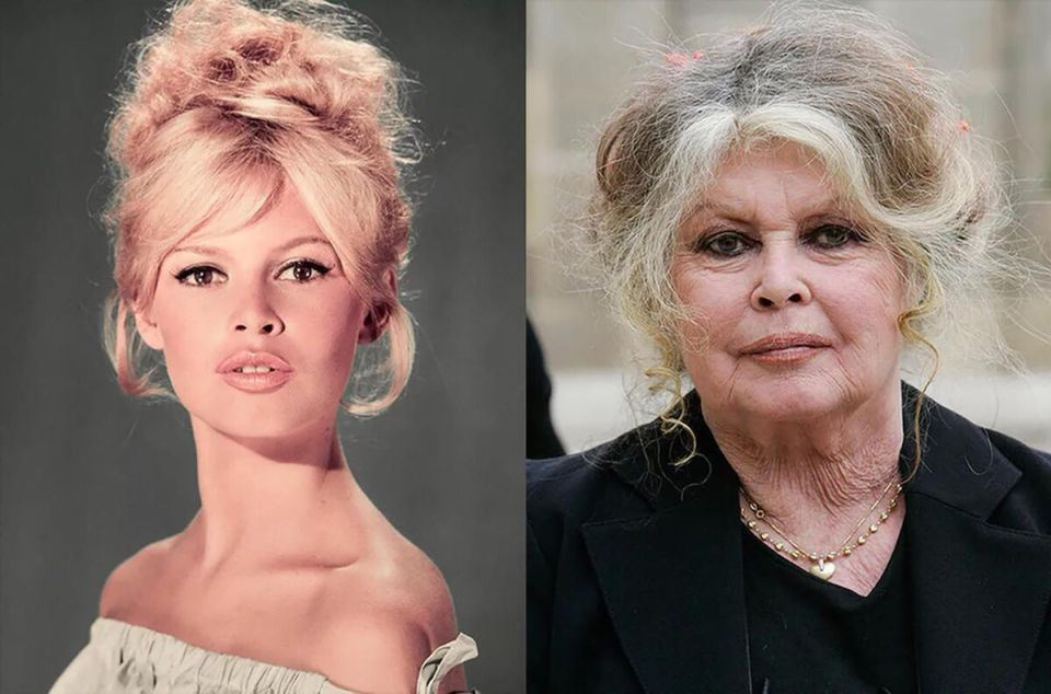 ��� ����� ������� ����� 50: ��������� ����������� ���� � ���������� �������