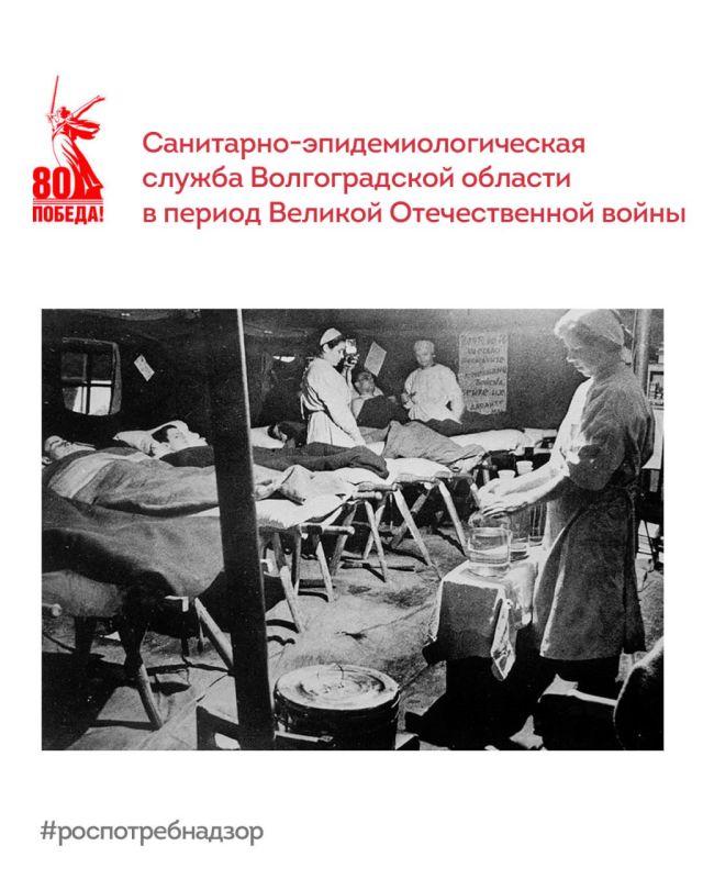  80-  : -        
