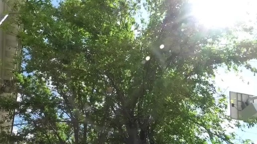              1     -