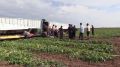 Нелегальных мигрантов сегодня искали в Волгоградской области