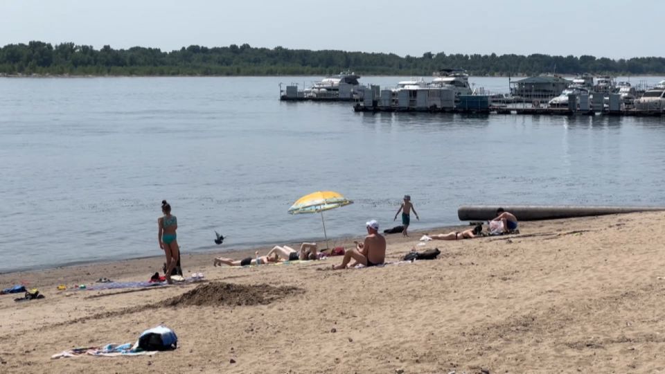 Водолазы обследуют дно Волги возле «диких» пляжей Волгограда