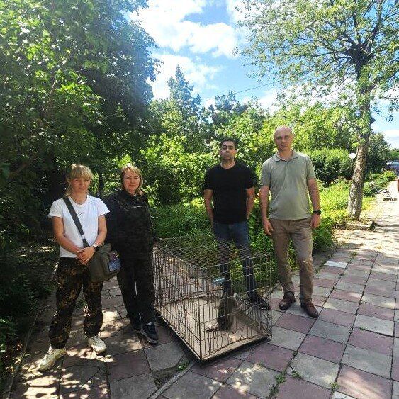 Зеленую мартышку вслед за амурским тигренком изъяли у жителя ЛНР, сообщает правительство ЛНР в своем Telegram-канале