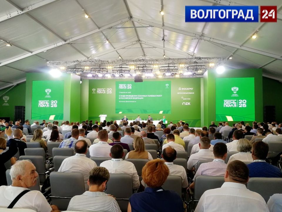 Первые кадры со Всероссийского дня поля в Волгоградской области