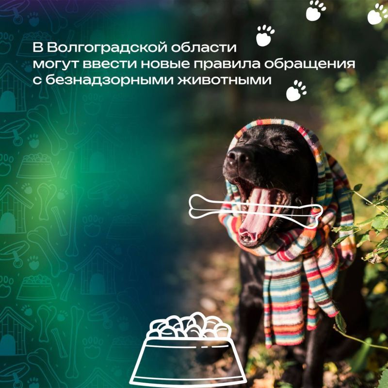 В Волгограде запустили электронную версию книги «Сталинград. Без срока давности»