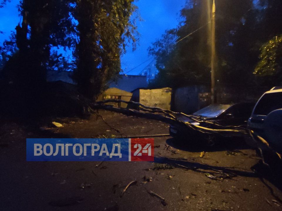 Последствия сильного ветра в Волгограде запечатлели местные жители