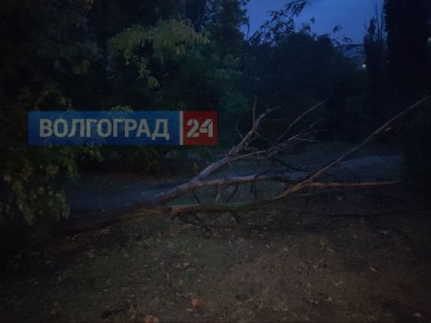 Последствия сильного ветра в Волгограде запечатлели местные жители