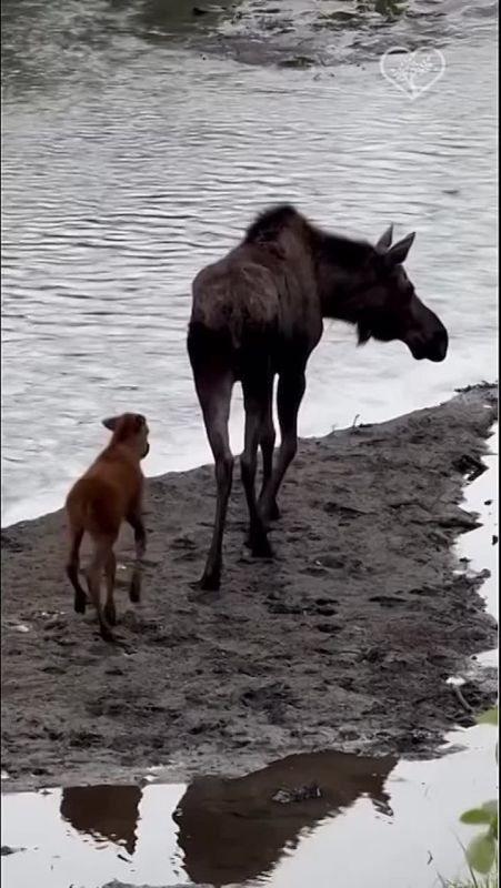  :   &quot;&quot;   ,      ,            25 :