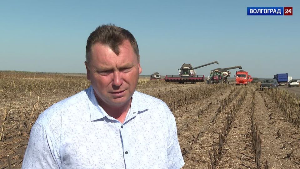         no-till
