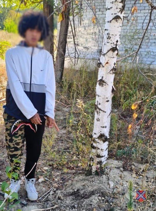     ,      