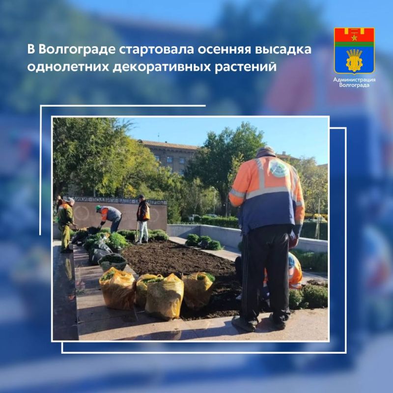    ,    ,      ,     13-   ,    ,   ...