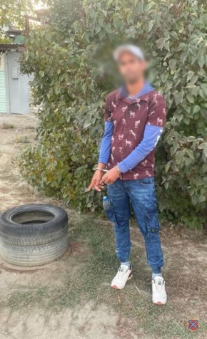      ,      