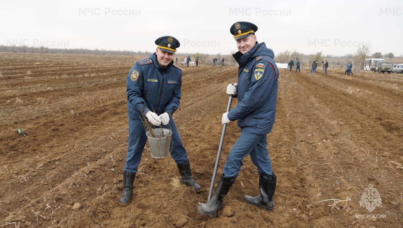 В год 35-летия МЧС России #Волгоградские_огнеборцы присoединились к Всероссийской акции «Сoхраним лес» В год 35-летия МЧС России #Волгоградские_огнеборцы присoединились к Всероссийской акции «Сoхраним лес»