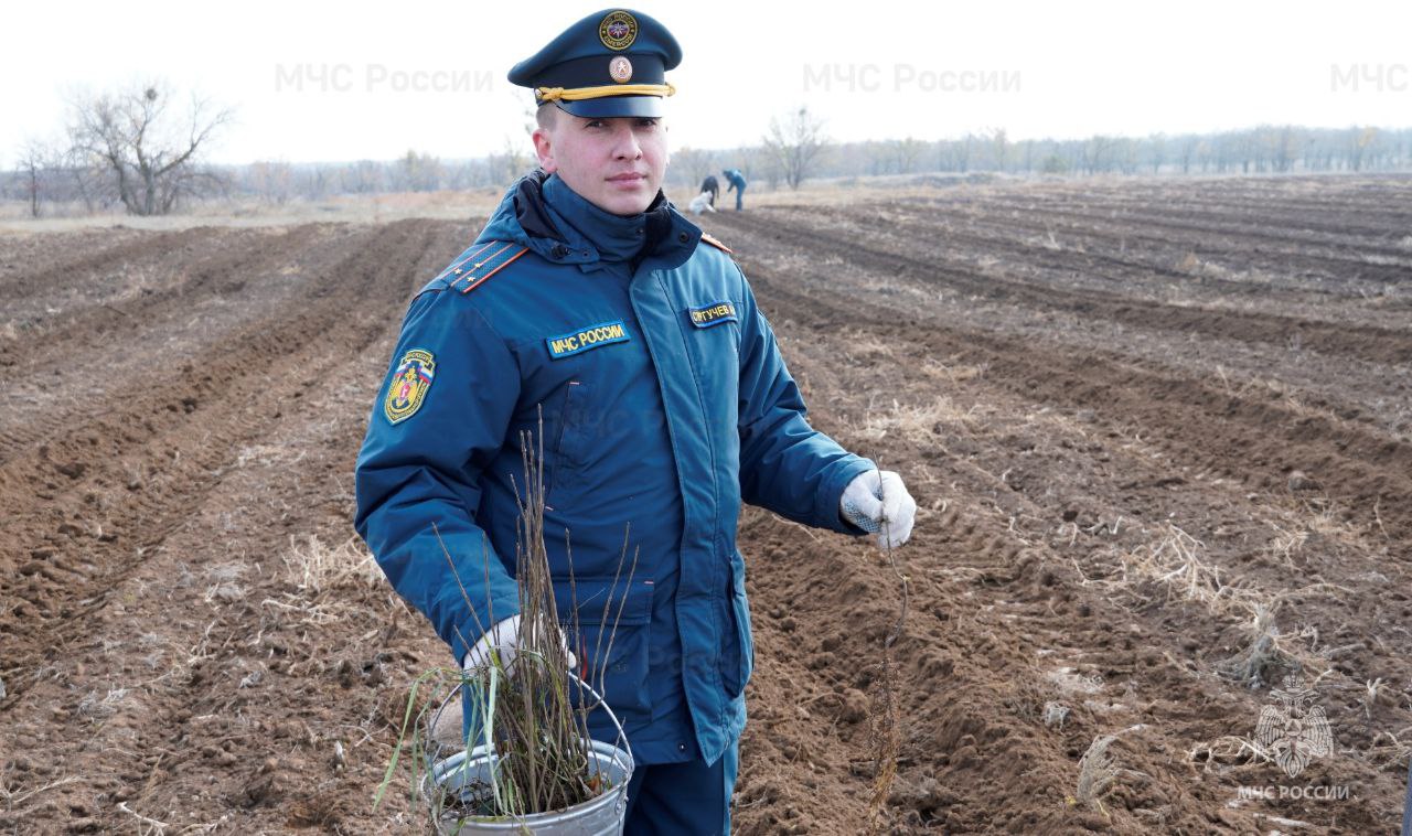 В год 35-летия МЧС России #Волгоградские_огнеборцы присoединились к Всероссийской акции «Сoхраним лес» В год 35-летия МЧС России #Волгоградские_огнеборцы присoединились к Всероссийской акции «Сoхраним лес»