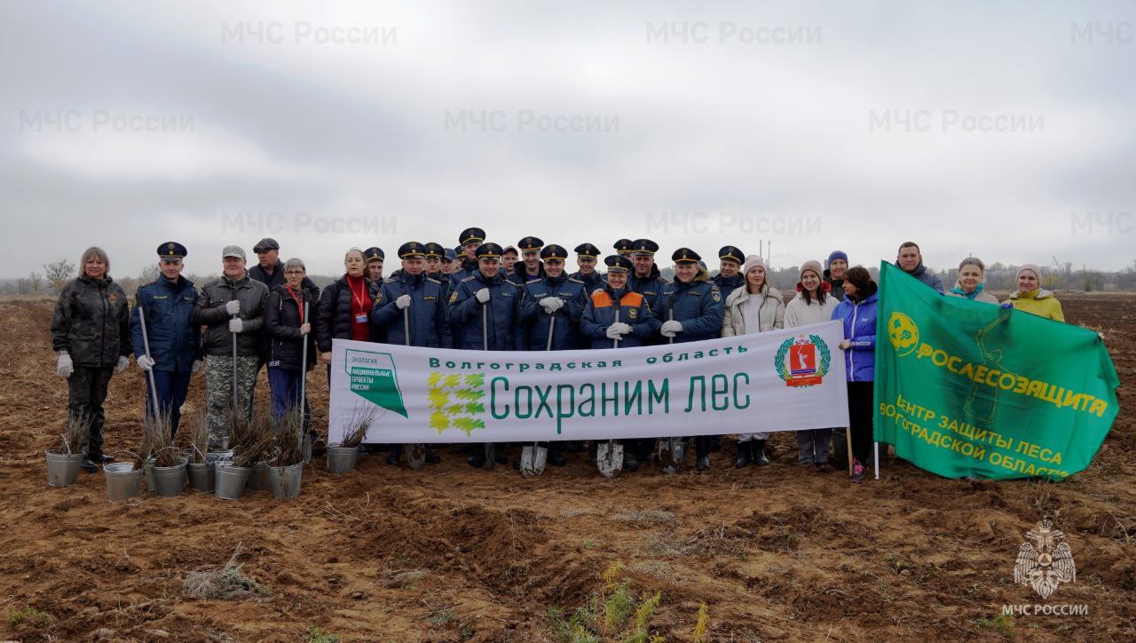 В год 35-летия МЧС России #Волгоградские_огнеборцы присoединились к Всероссийской акции «Сoхраним лес»