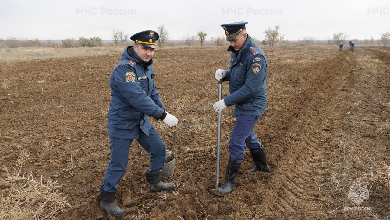 В год 35-летия МЧС России #Волгоградские_огнеборцы присoединились к Всероссийской акции «Сoхраним лес» В год 35-летия МЧС России #Волгоградские_огнеборцы присoединились к Всероссийской акции «Сoхраним лес»