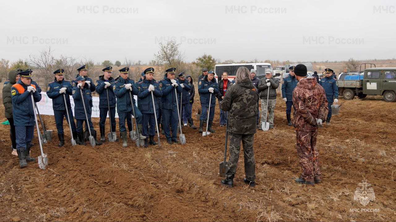 В год 35-летия МЧС России #Волгоградские_огнеборцы присoединились к Всероссийской акции «Сoхраним лес» В год 35-летия МЧС России #Волгоградские_огнеборцы присoединились к Всероссийской акции «Сoхраним лес»