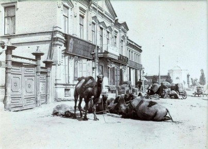 На фото — ул. Александровская (совр