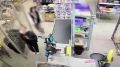 В городе Волжском задержали подростков, подозреваемых в краже из продуктового магазина