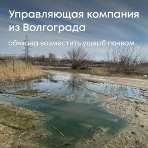 Суды двух инстанций подтвердили законность требований Росприроднадзора к ООО «Управляющая Компания «ВОЛГОСИТИ ХОУМ» о возмещении вреда почвам